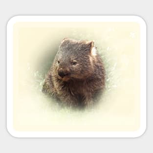 Wombat Sticker